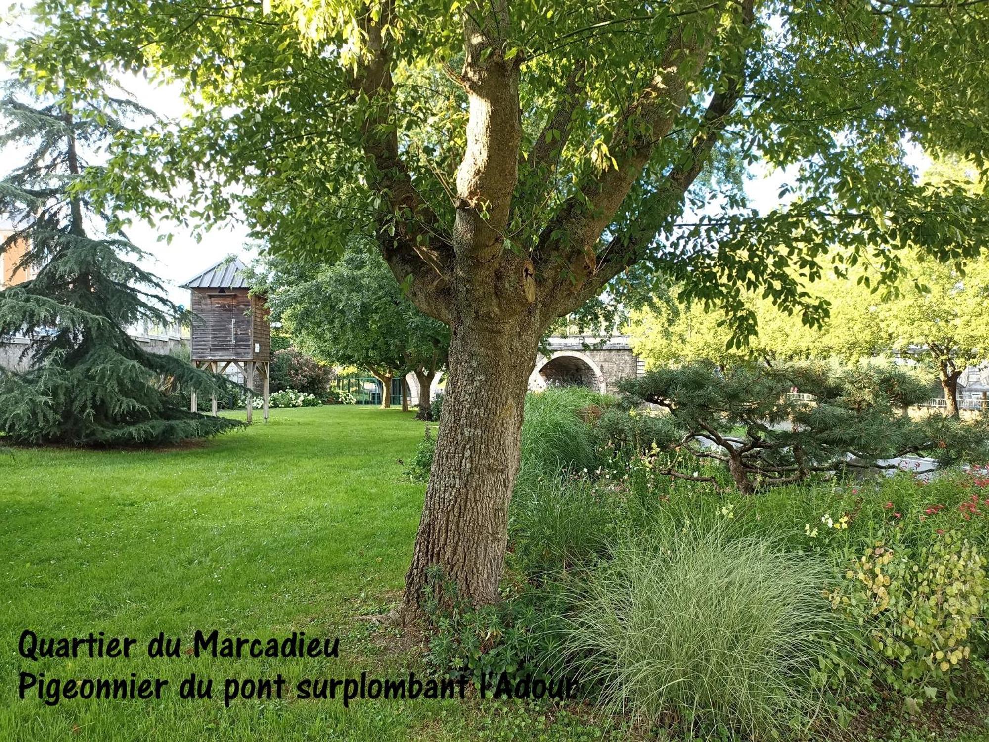 Studio Tarbes Marcadieu Экстерьер фото